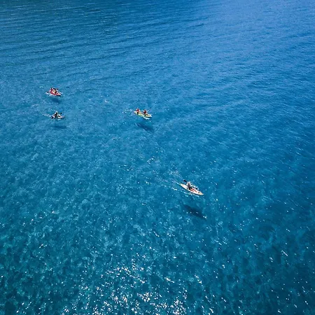 Hostel The Pink Palace